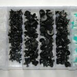 CLIP FERMI FISSAGGIO 290 PZ CARROZZERIA PARAURTI PANNELLI RIVETTI PLASTICA 664