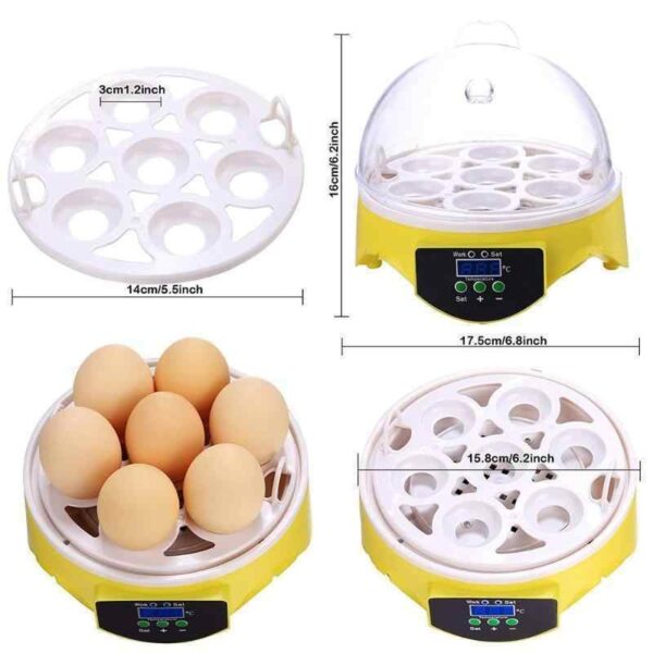 INCUBATRICE INCUBATORE 7 UOVA GALLINA RETTILI ANIMALI REGOLABILE