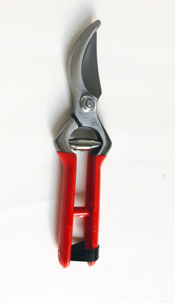 FORBICE FORBICI DRITTA VIGNA UVA POTA GIARDINO 210 MM VIGNETO FRUTTETO 561 Q