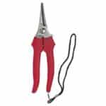 FORBICI COGLIUVA 19 CM LAMA ACCIAIO INOX FORBICE COGLI TAGLIA UVA VENDEMMIA au