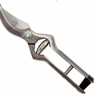 CESOIA FORBICE FORBICI ACCIAIO FORGIATO VENDEMMIA POTA POTARE LAMA 20 CM 8'' 580