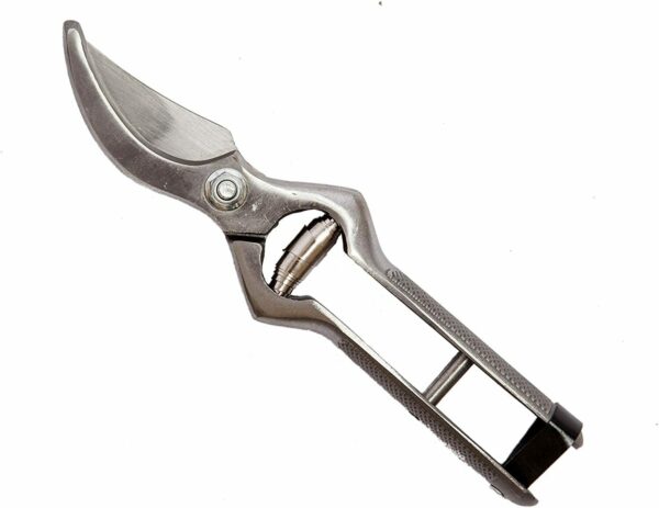 CESOIA FORBICE FORBICI ACCIAIO FORGIATO VENDEMMIA POTA POTARE LAMA 20 CM 8'' 580