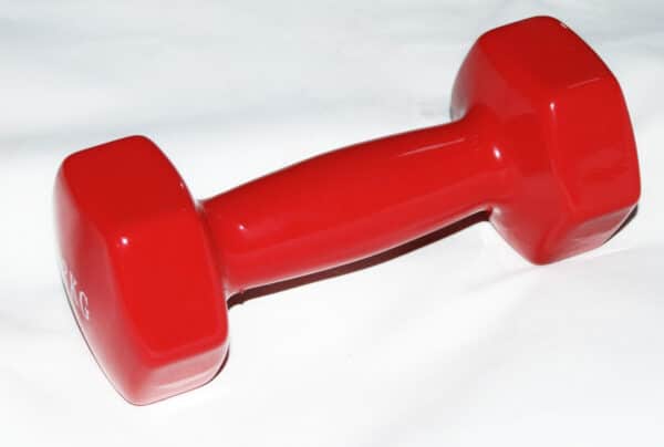 PESO PESI PESETTO MANUBRIO ALLENAMENTO PALESTRA AEROBICA ANTISCIVOLO 3 KG 949