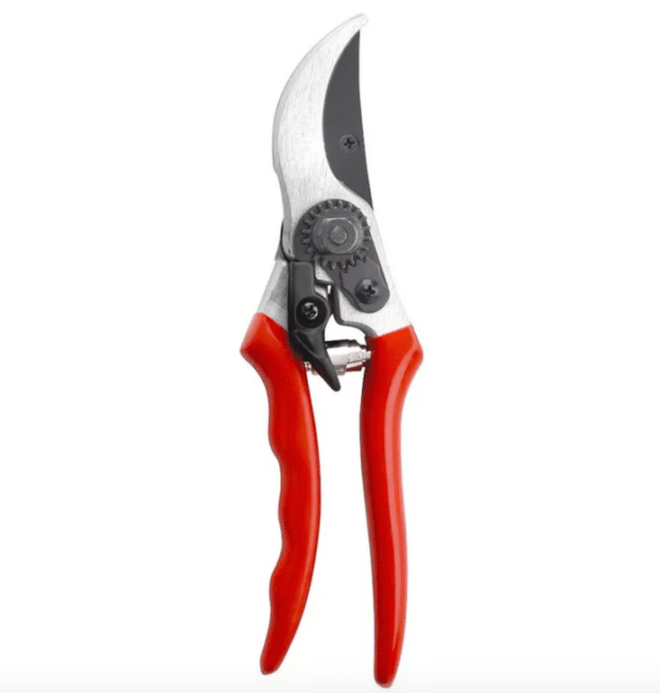 Forbice forbici pota giardinaggio giardino taglia rami rametti 8" 210 mm samurai 215