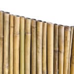 ARELLA IN CANNETTE DI BAMBU RECINZIONE OSCURANTE COPERTURA PERGOLA 1x3 MT 168 ve