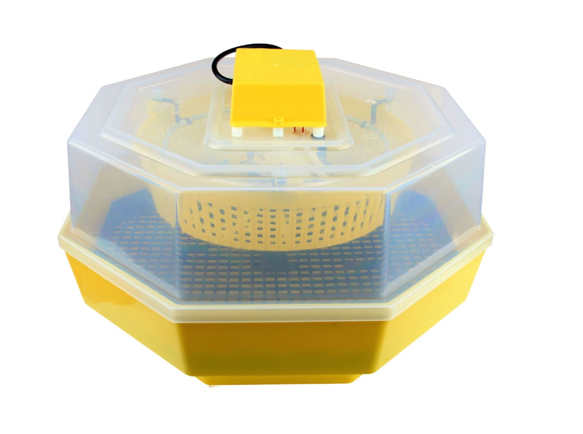 Incubatrice 60 uova gallina quaglia animali 20 w incubatore regolabile agricoltura avicola 117ev