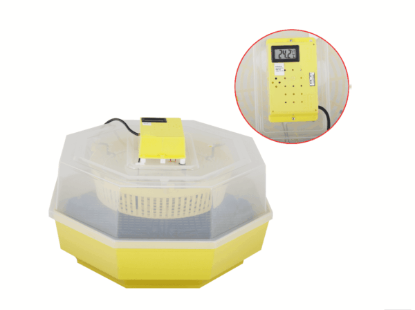 Incubatrice 60 uova gallina quaglia pollame 20w incubatore regolabile con termometro 170ev