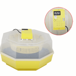 Incubatrice 60 uova gallina quaglia pollame 20w incubatore regolabile con termometro 170ev