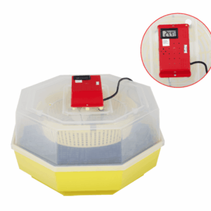 Incubatrice 60 uova gallina quaglia animali 20w incubatore regolabile con termometro termo igrometro 770ev