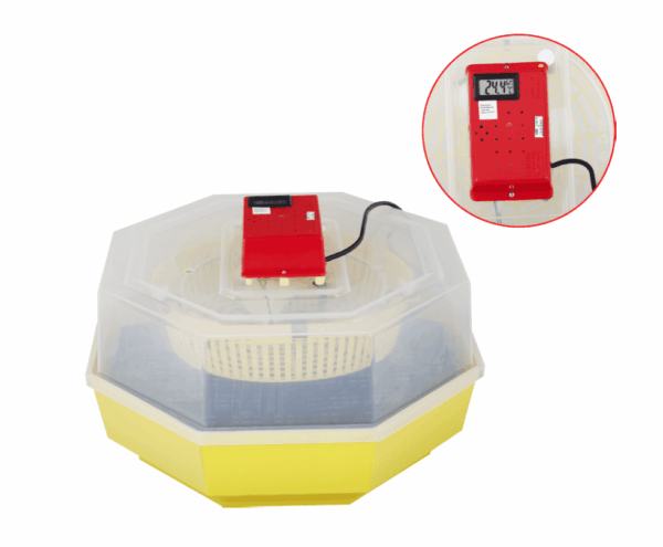 Incubatrice 60 uova gallina quaglia animali 20w incubatore regolabile con termometro termo igrometro 770ev