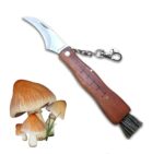 COLTELLO COLTELLINO FUNGHI FUNGO TARTUFI SERRAMANICO TASCABILE CON SPAZZOLA 407 - immagine 3