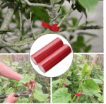 KIT 20 NASTRI LACCI ROSSI LEGATRICE PIANTE FIORI LEGATURA RAMI VITE VIGNA 615X - immagine 2