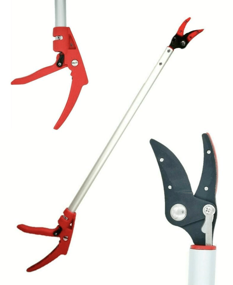 forbice FORBICE POTATURA RACCOGLI FRUTTA ASPARAGI 1,50 MT 150 cm 589xi - immagine 1