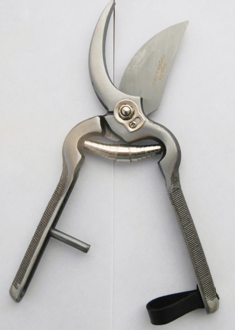 forbice_.png FORBICE FORBICI ACCIAIO POTA VENDEMMIA POTATURA POTARE LAMA 21 CM 8'' 801 OX - immagine 1