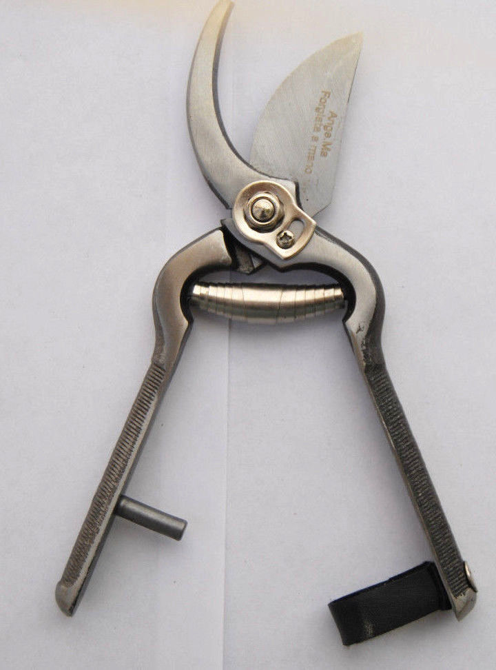 forbice_57.jpeg FORBICE FORBICI ACCIAIO FORGIATO VENDEMMIA POTATURA POTARE LAMA POTA 18 CM 7' - immagine 1