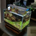 PLAFONIERA LED LUCE BIANCA BLU LAMPADA ACQUARIO BARRA DA 30 A 40cm SLIM 4W 972 - immagine 3