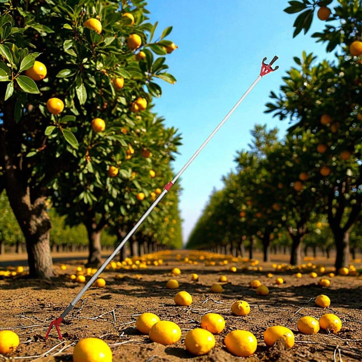 Asta pinza raccogli frutta oggetti rifiuti giardino estensibile allungabile 1,8 3 mt 970x - immagine 2