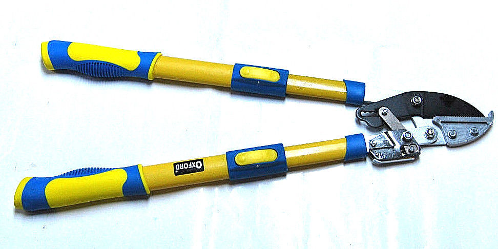 troncarami.jpg TRONCARAMI TELESCOPICA A CRICCHETTO IDEALE PER RAMI 719 ox - immagine 1