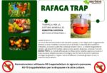 Rafaga trap flypack trappola insetticida per il controllo della mosca della frutta - immagine 2