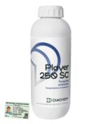 Player 250 sc fungicida sistemico vite da vino cereali tebuconazolo 1 lt piante