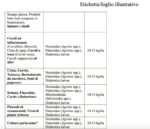 Ercole insetticida granulare 10 kg elateridi insetti terricoli agisce per contatto e ingestione mais varie colture lambda-cialotrina 0.4% - immagine 5