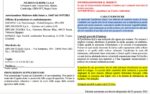 Revolution erbicida spollonante dissecante varie colture vite patata pomodoro 1 lt - immagine 3