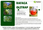 Rafaga olitrap flypack trappola insetticida per il controllo della mosca dell'olivo - immagine 2