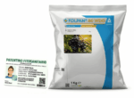 FOLPAN 80 WDG fungicida peronospora base di Folpet puro 80% vite pomodoro kg 1