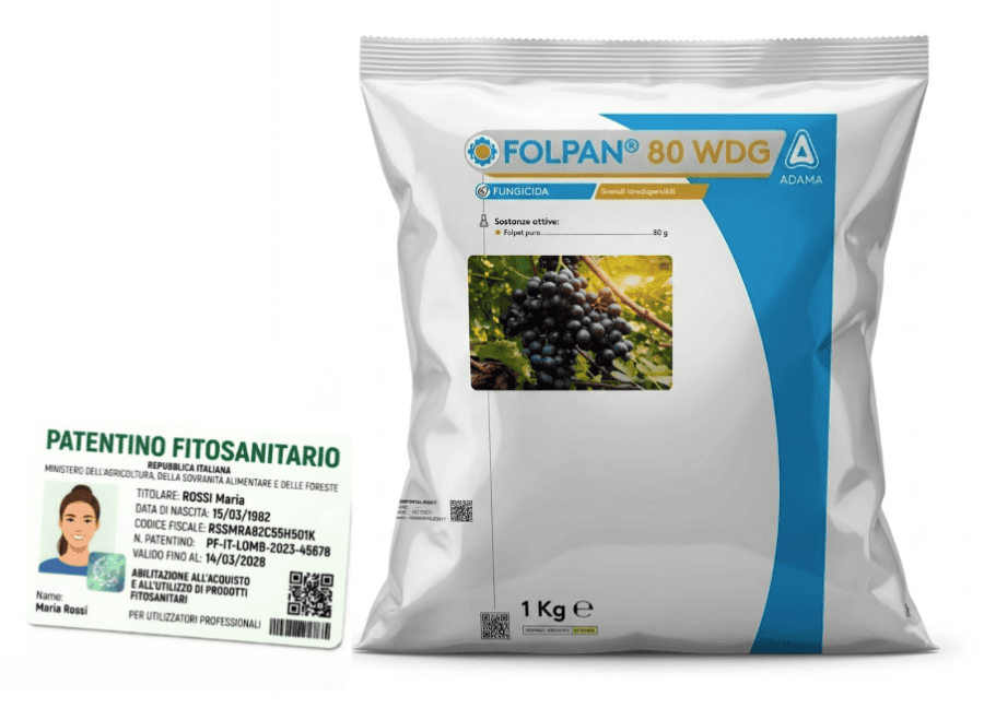 folpan FOLPAN 80 WDG fungicida peronospora base di Folpet puro 80% vite pomodoro kg 1 - immagine 1