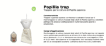 Trappola popillia japonica coleottero feromone floeale fino a 200 mq stagione intera - immagine 2