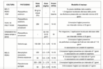 Aliette Bayer 1 kg Fosetil Alluminio 80% Fungicida Sistemico Professionale - immagine 3