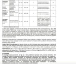 R6 Erresei bordeaux WG fungicida sistemico che assicura protezione ottimale Kg 1 - immagine 3