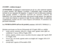 Closer Insetticida contro Insetti apparato pungente,succhiante(Sulfaxofar) 250ml - immagine 6