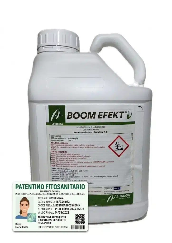 BOOM EFEKT Erbicida Boom Efekt al Glifosate Potente Diserbante sistemico Tipo Roundup 5 L - immagine 1