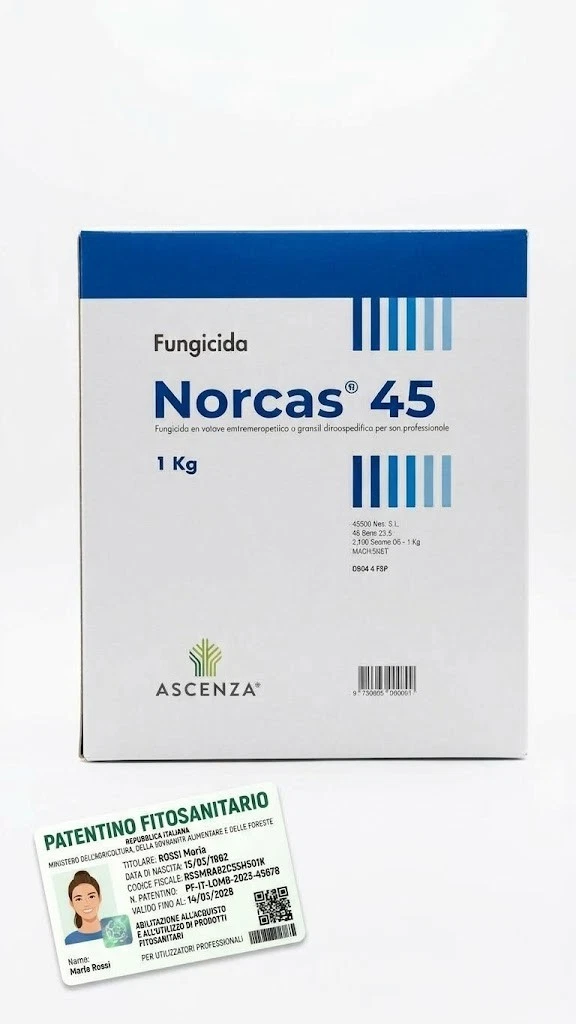 NORCAS 1 NORCAS 45 CIMOXANIL 45% FUNGICIDA PREVENTIVO CURATIVO ANTIPERONOSPORICO 1 Kg - immagine 1