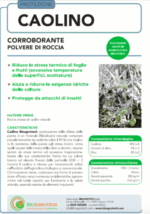 Caolino corroborante potenziatore difese naturali MOSCA DELL'OLIVO 25 kg - immagine 3
