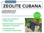 Zeolite Cubana polvere micronizzata Insetticida Fungicida Difesa Piante 6 kg - immagine 3