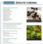 Zeolite Cubana polvere micronizzata Insetticida Fungicida Difesa Piante 6 kg - immagine 5