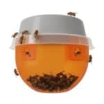 Insetticida Sipcam Trappola Delmur Trap mosca della frutta varie colture agrumi - immagine 2