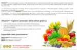 Orgazot concime organico azotato Sangue Secco granulare azoto carbonio kg 20 - immagine 2