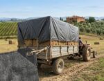 Telo occhiellato impermeabile 200gr antigelo protettivo agricoltura 6x10 mt grigio  795pap - immagine 2